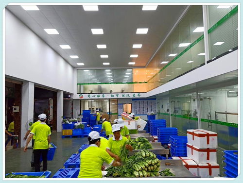 東坑鎮(zhèn)工廠農(nóng)產(chǎn)品配送服務(wù)優(yōu)勢與信息咨詢服務(wù)解析